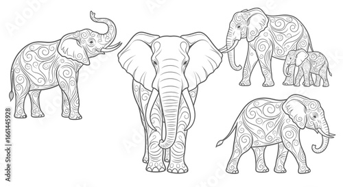 Elegant line art elephants perfect for coloring books, crafts, or creative projects, ready to inspire