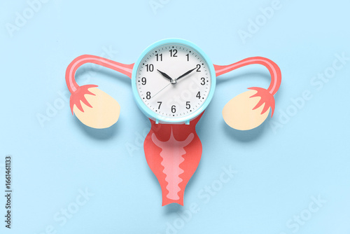 Clock with paper uterus on ...