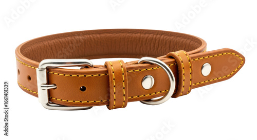 Εκτύπωση καμβά Isolated leather dog collar