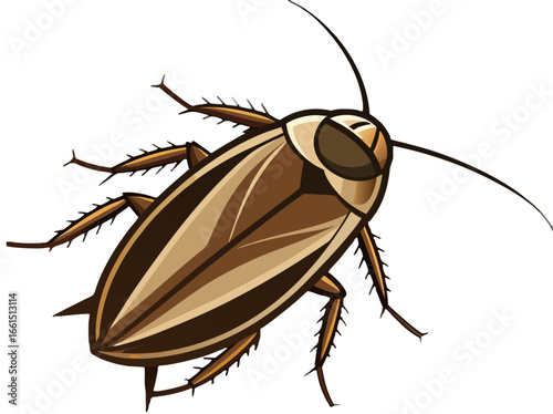 Detailed vector illustration of a brown cockroach with six legs and antennae on a white background