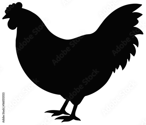 Silhouette of a rooster in side view with detailed tail feathers in simple black and white design