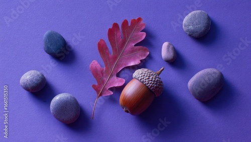Autumnal scene  Acorns, leaf, and stones on a vibrant purple background