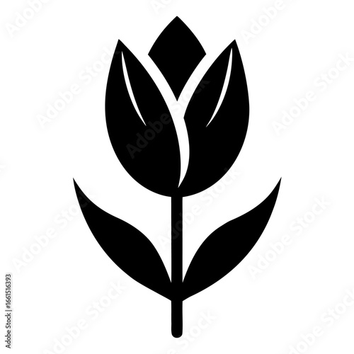 Minimalist tulip flower icon line airt vactor outline Illustrations on white background.