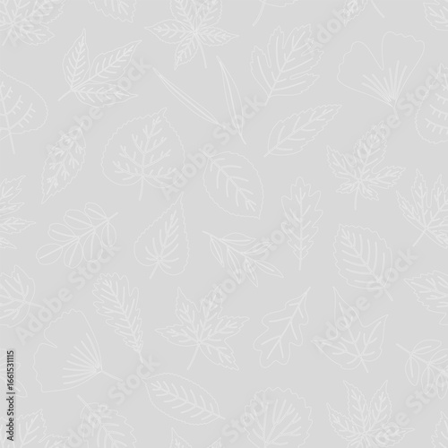 Seamless pattern with outline leaves on gray background - leaf of maple, linden, poplar, ginkgo, and others. Print for textile, package, wrapping paper. White contour, sketch. Vector illustration