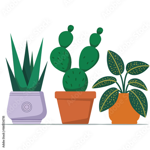 A collection of popular potted houseplants in decorative pots, including a cactus, sansevieria, and monstera deliciosa vector illustration