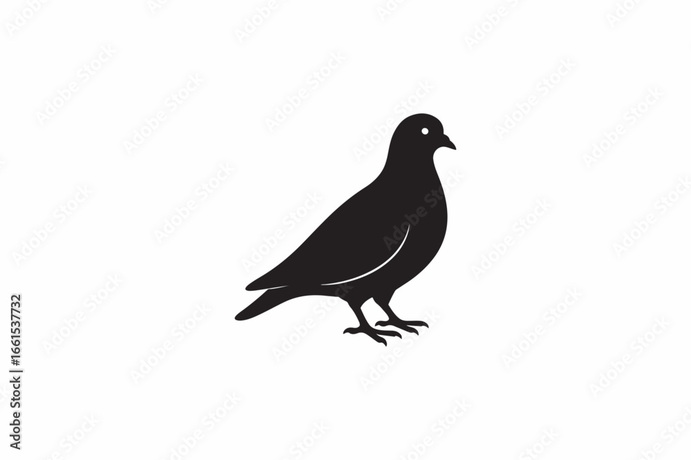 Obraz premium A Pigeon domestic bird vector silhouettes black image made by adobe illustrator with white color back round.. eps