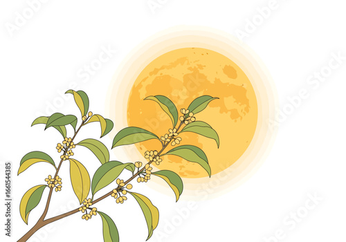 Osmanthus Flowers and Full Moon