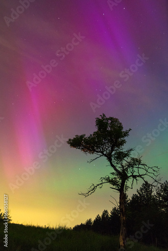 aurora borealis in the heather