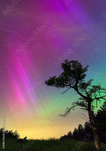 aurora borealis over de heide