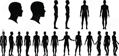 Human figure silhouette vector set showing diverse poses, head profiles, and body orientations for art, anatomy, and design references