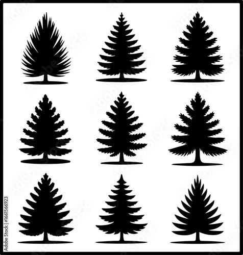 A grid of nine black silhouette illustrations of pine or fir trees