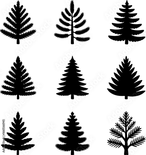 A grid of nine black silhouette illustrations of pine or fir trees