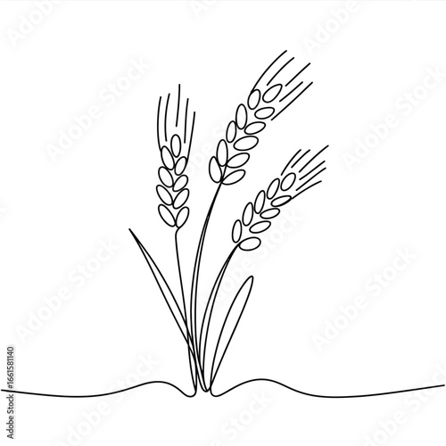 Minimalist line art of three wheat stalks