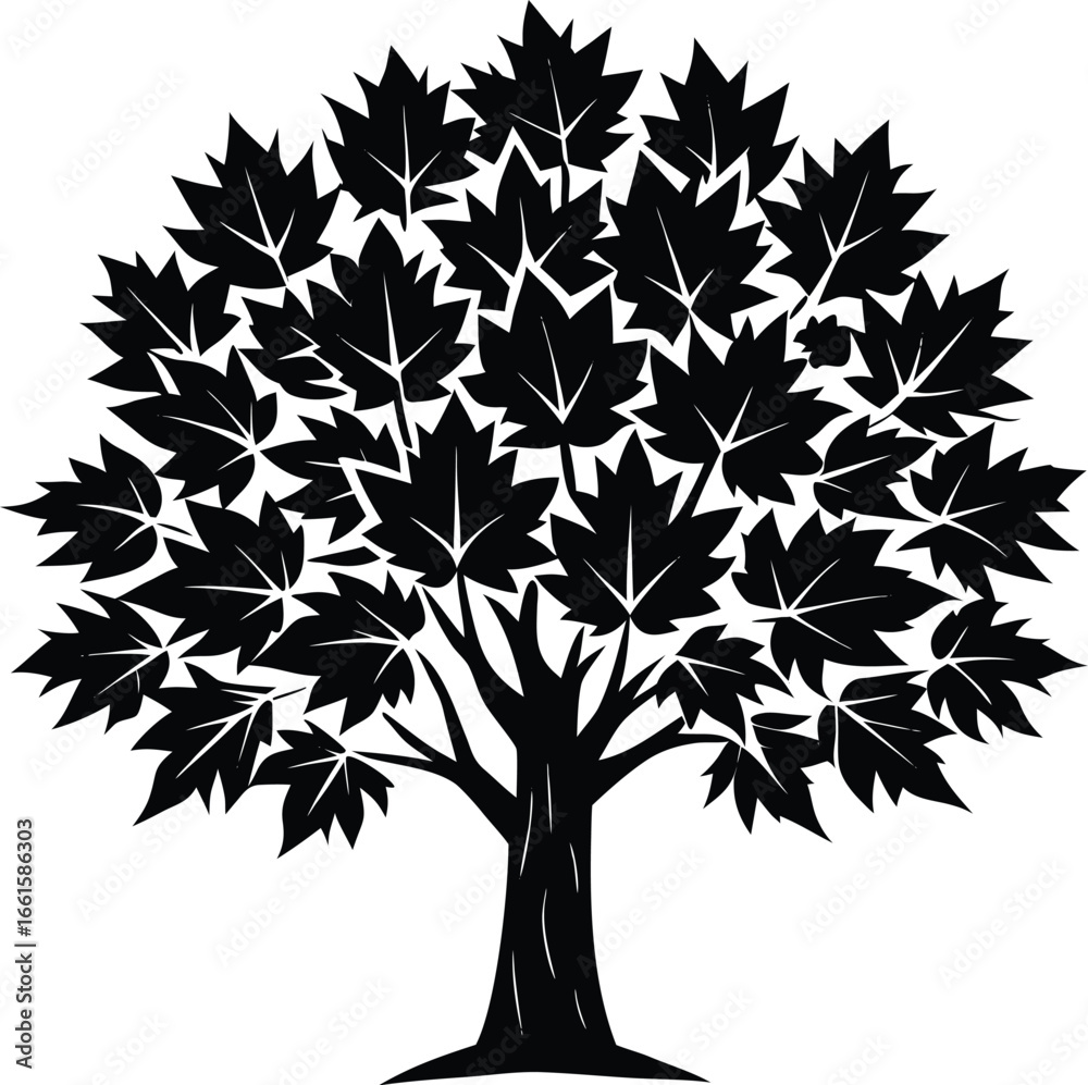 Obraz premium Maple Tree Illustration with Detailed Leaves in Black and White silhouette