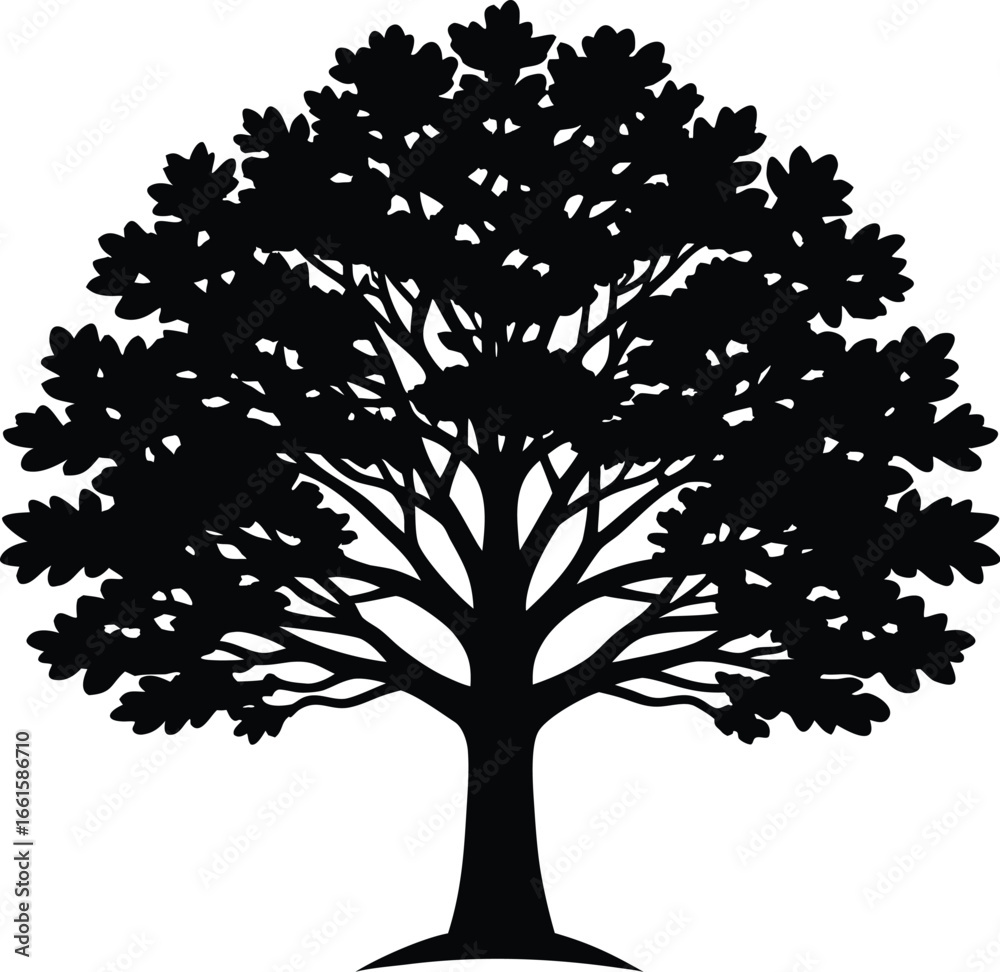 Obraz premium Detailed Oak Tree Illustration with Branches and Leaves Silhouette