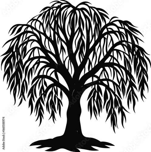 Weeping Willow Tree with Drooping Branches Black Silhouette