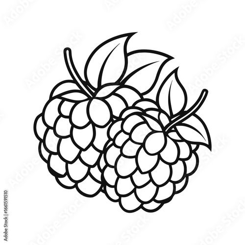Simple line drawing of two fresh raspberries with leaves and stems