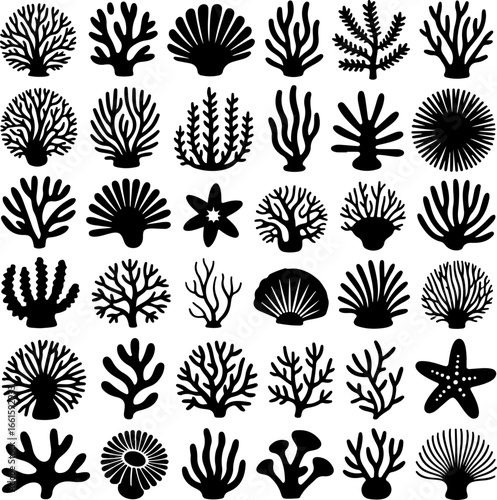 black silhouette illustrations featuring diverse types of coral, sea plants, shells, and marine life forms