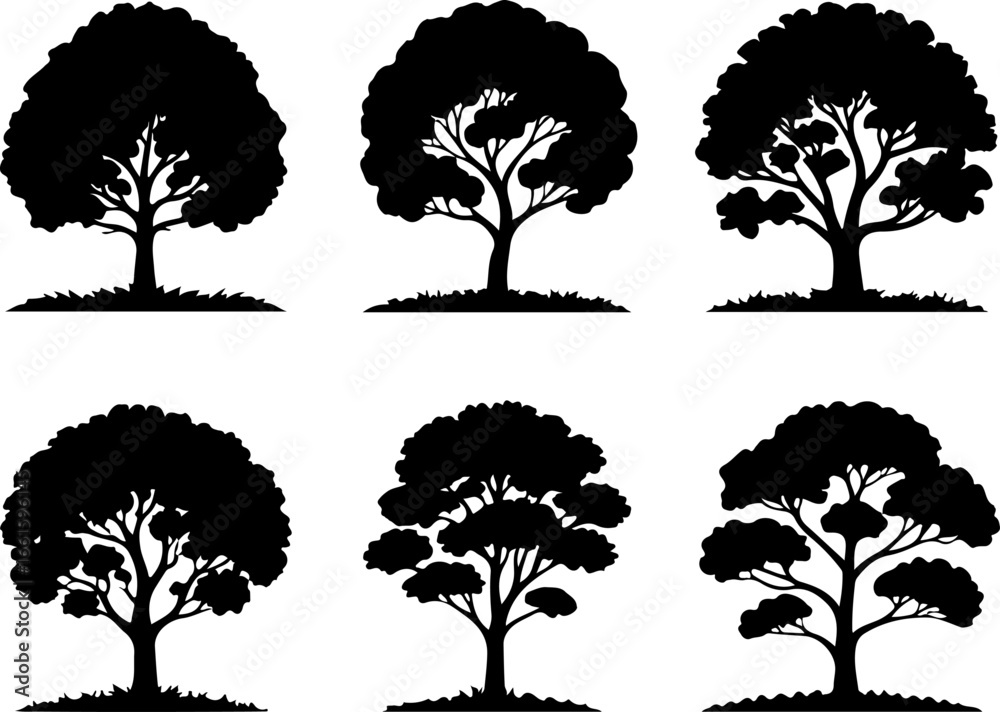 Fototapeta premium black silhouette illustrations of individual deciduous trees