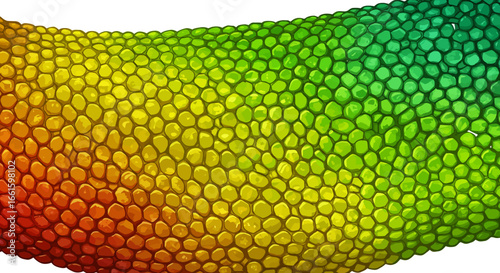 A colorful scaled surface that transitions from red to green resembling reptile skin