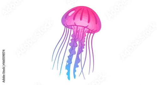 A jellyfish with a pink and blue gradient is shown with its tentacles dangling below