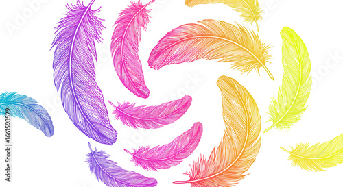Bright multicolored feathers arranged in a swirling pattern against a white background