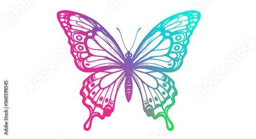 Colorful butterfly outline gradient from pink to green wings outstretched intricate pattern on white background