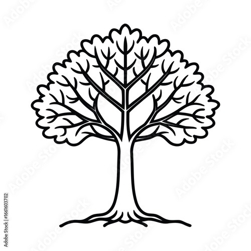 Stylized black and white drawing of a majestic tree with visible roots and branches