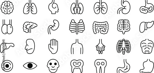 Human Body Organs Line Art Icon Set