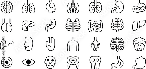 Human Internal Organs Grid Icons (Outline)