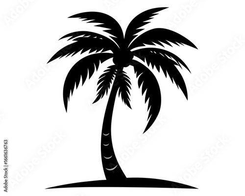 Coconut tree silhouette