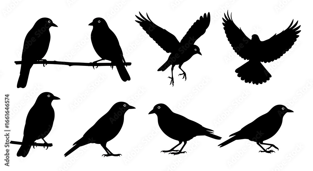Fototapeta premium Silhouettes of Various Birds Perched and Flying on White Background bird silhouettes