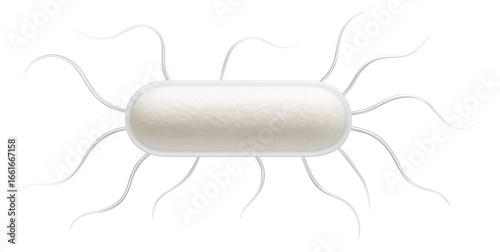 Rod-shaped Escherichia coli bacterium with flagella visible