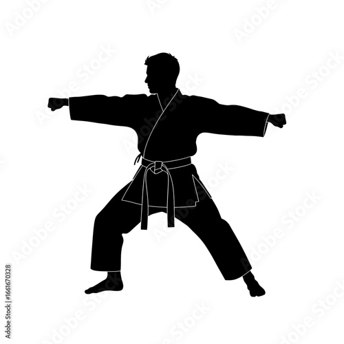 Karate practitioner silhouette martial arts stance strong posture self defense high quality professional