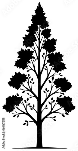 Poplar tree under sunny sky with broken branches on mountain slope
