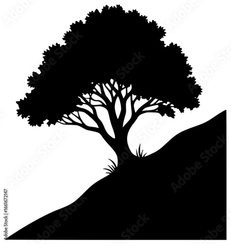 Poplar tree under sunny sky with broken branches on mountain slope