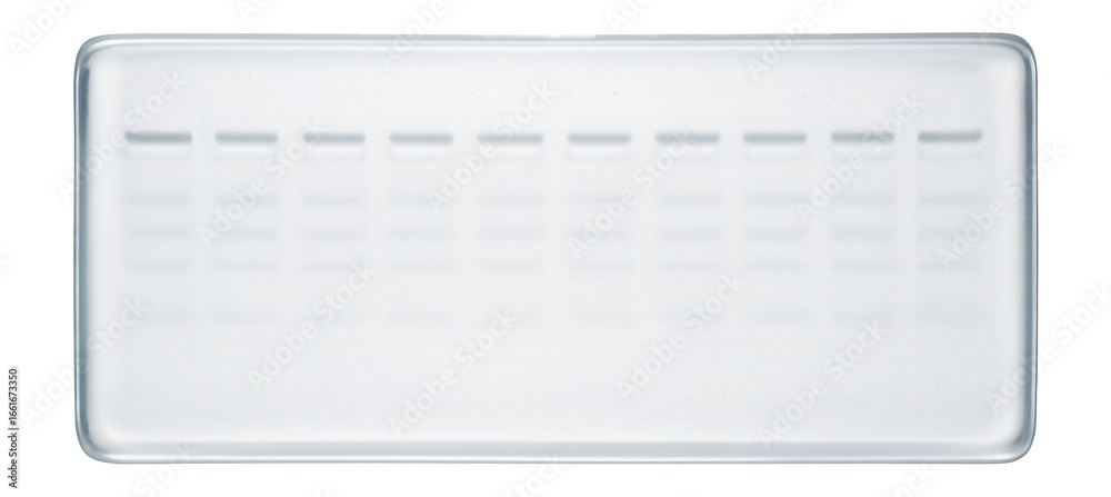 Fototapeta premium Unstained gel showing faint impressions of comb teeth