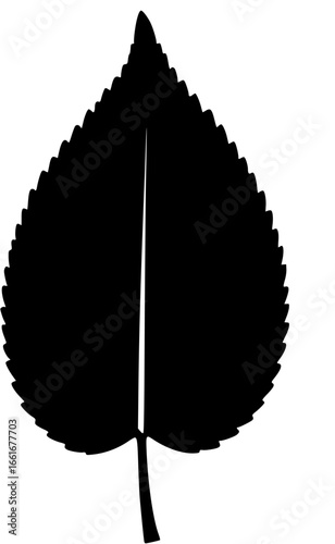 leaf vector 
