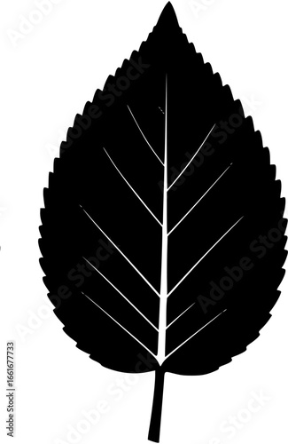 leaf vector 

