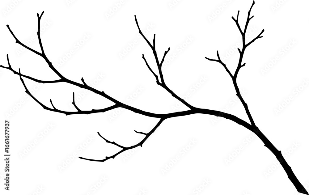 Fototapeta premium A bare branch Vector 