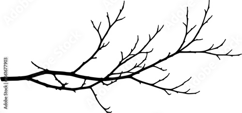 A bare branch Vector 
