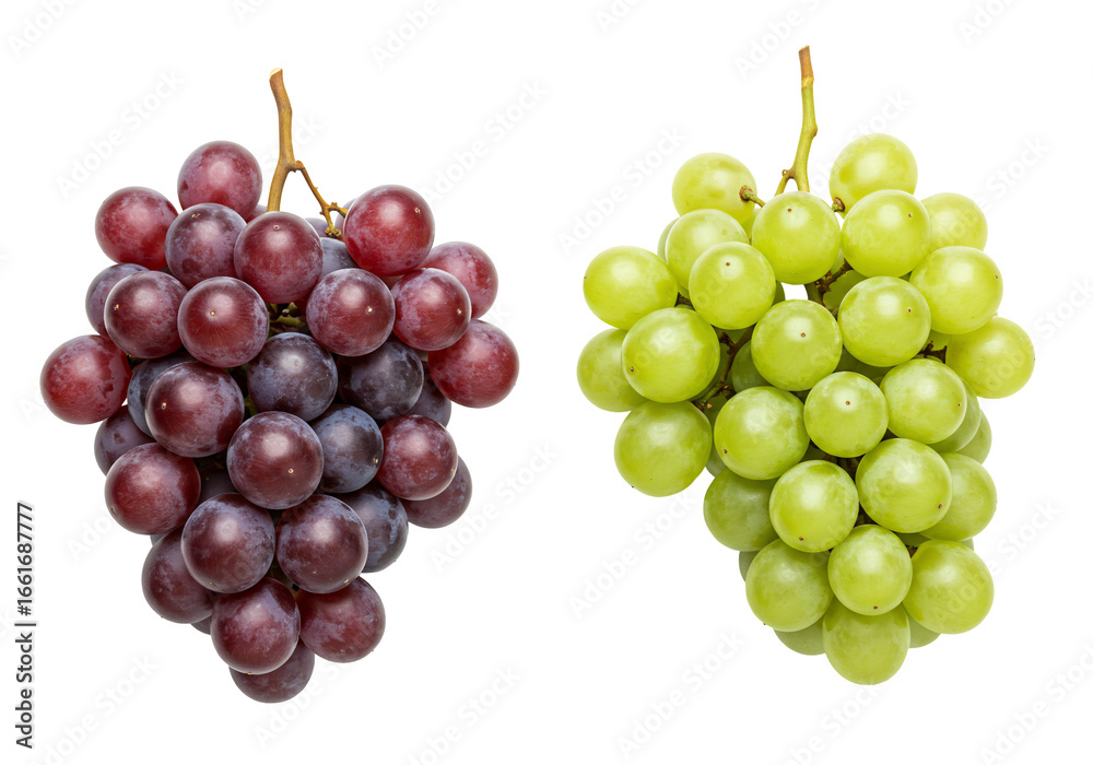 Fototapeta premium Two bunches of grapes red and green on transparent background