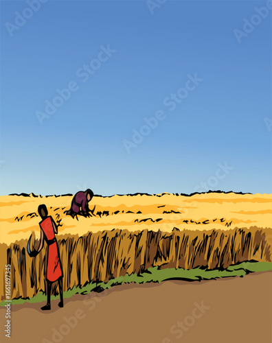 Vector drawing. Reapers in the field