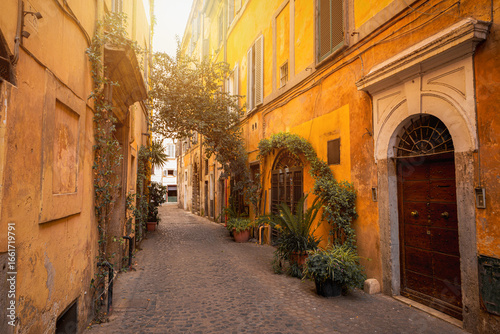 Photography Quaint Trastevere alley in Rome, Italy, with rustic walls, potted plants and arc