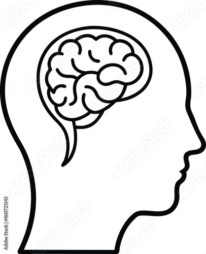 Realistic Human Head Brain Illustration.