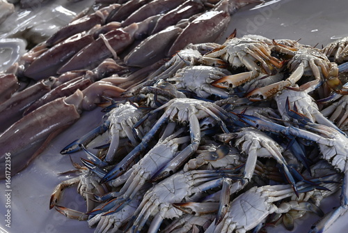 fresh crabs and fish at the market