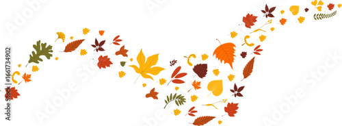 Autumn leaves falling. Wave of falling leaves. Autumn flying leaves. Wave of cold air during windy weather. Scattered autumn leaves. November. Autumn.