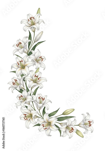 An elegant floral corner arrangement of beautiful hand-drawn white lily flowers for a wedding card
