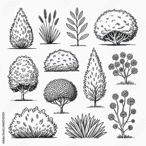 Bush and Shrub Silhouette Vector Pack  Grass, Plant, Foliage, Landscape Elements, Garden Nature Clipart for Design & Print