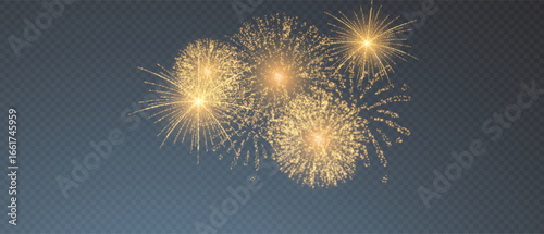 Png fireworks. Firework on a transparent background.. Christmas background. PNG fireworks. Holiday fireworks. Vector image.